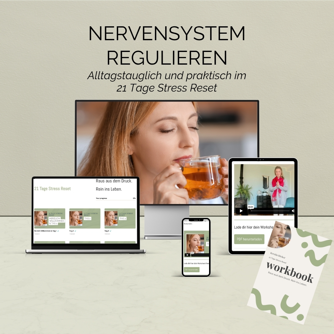 21 Tage Stress Reset Stress reduzieren Online Kurs